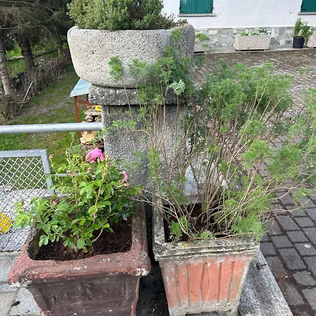 Tana Della Volpe * Antey-Saint-André