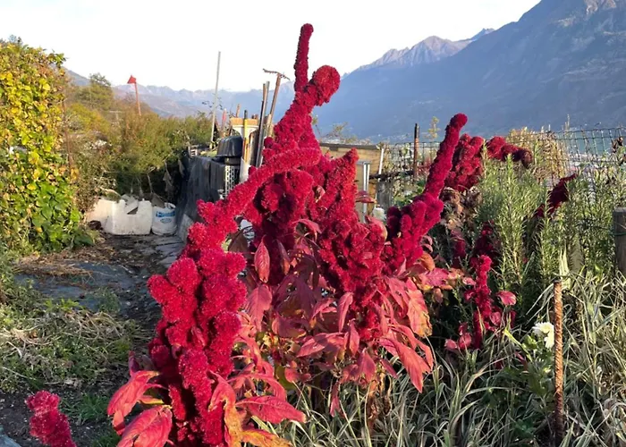 Tana Della Volpe Σπίτι διακοπών Antey-Saint-André